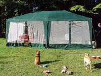 photos 2000-200902842
